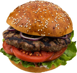 Juicy hamburger on Transparent