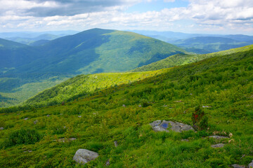 green mountain landscape on a summer morning. grassy hills and meadows. clouds on the sky