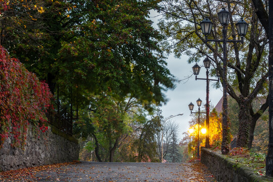empty street in autumn. urban morning with lanterns. colorful foliage on the ground. red ivy plant on the wall