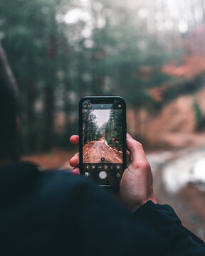 Mobile photography in the foggy woodland.