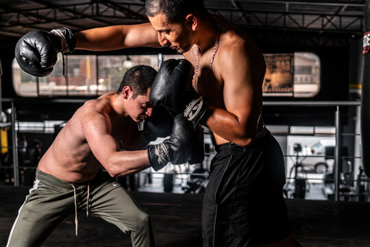 High quality photography. Man sparring in a gym. A Caucasian man and a Latino man training box in a gym. Men trained fighting sports.