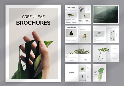 Green Leaf Brochure