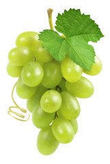 Grapes isolated. Bunch of ripe green grapes with green leaf and vine.