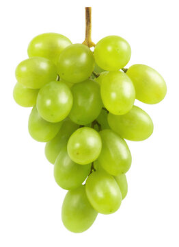 Grapes isolated. A bunch of ripe green grapes on a white background. Fresh fruits.