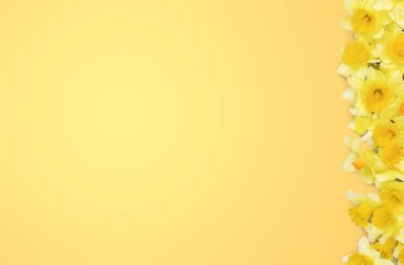 Floral frame with fresh flowers on color background.