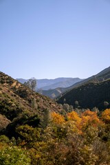 Autumn Canyon Portrait