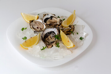 Oysters with lemon. Served white plate. White background.