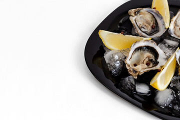 Oysters with lemon. Served black plate. White background.