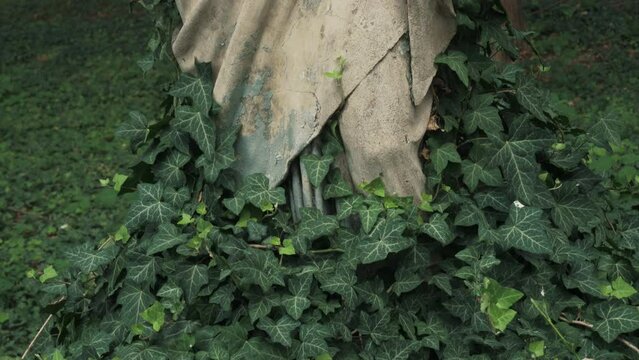 Old Jesus Christ staue in cemetery