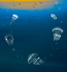 blue background drawn underwater world jellyfish in a circle