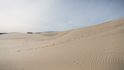 Fototapeta na wymiar Sand dunes in the desert