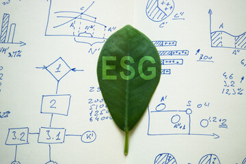 Leaf on charts with sign ESG Environmental, Social, and Corporate Governance.