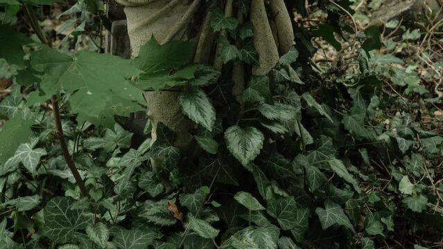 Beheaded statue in ancient cemetery