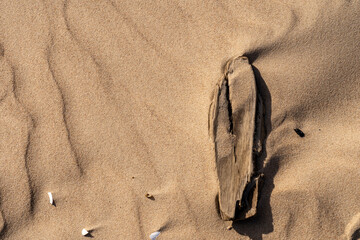 Fototapeta na wymiar Top view of sea sand texture and wave-smoothed pieces of drift wood.