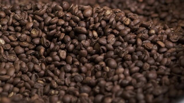 Close up of seeds of coffee