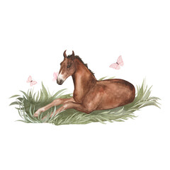 Watercolor illustration of a foal lying in the green grass with pink butterfly