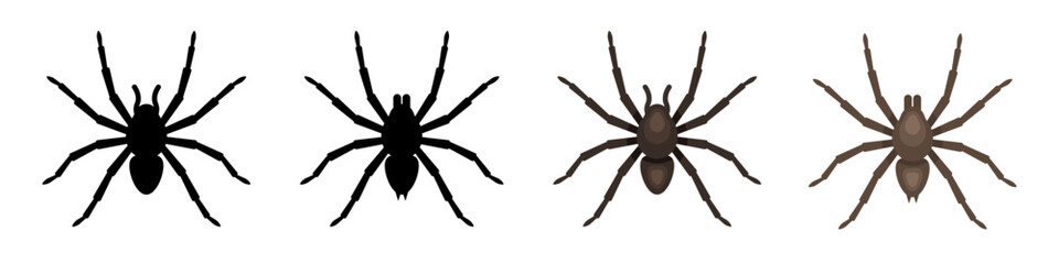 Fototapeta Spider. Spiders set. Vector clipart isolated on white background. obraz