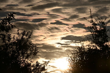 sunset over the river