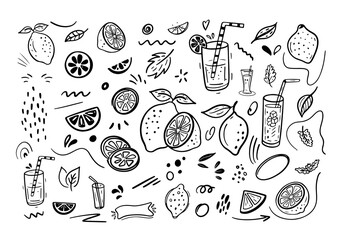 Set of lemon fresh juice mint summer hand drawn scribble doodle line art sketch vector illustration