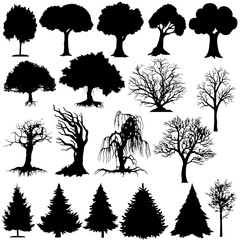 Vector Silouettes-Various Trees - obrazy, fototapety, plakaty