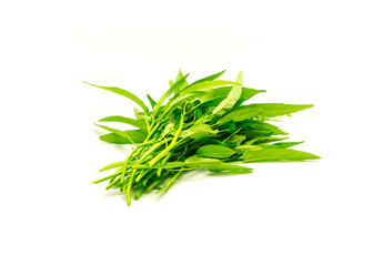 Bunch of fresh cut water spinach or kangkung plant with tender shoots isolated on white background