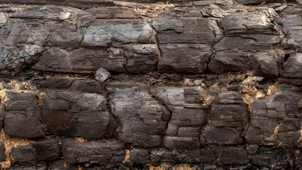 close-up of burnt log for use as background. metall details on the surface of charcoal.