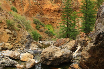 Red rocky narrow gorge Kyzyl-Chin in Altai with river, large stones and green trees, summer, cloudy