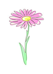 Chamomile with pink leaves. Flower in the style of one continuous line. Stock vector illustration, isolated on white background.