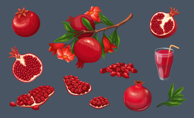 Pomegranate set vector illustration. Cartoon isolated summer garnet fruit with ruby seeds, juice in glass with straw, garden branch with juicy whole pomegranates, and cut in half, quarter and slices