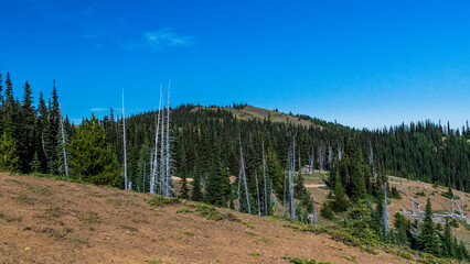 Deer Park, Olympic National Park