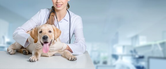 Young veterinarian doctor holding cute dog in clinic