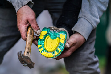 Man farrier installing plastic horseshoe to hoof. Closeup up detail to hands holding animal feet...