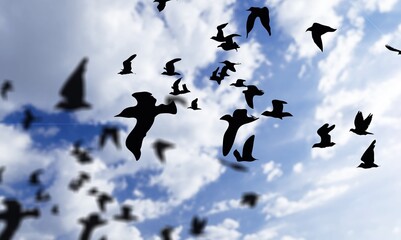 Beautiful view of birds flying in the cloudy sky
