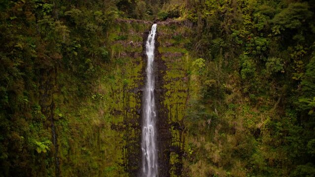 Pan down of beautiful hawaiian waterfall in lush green forest