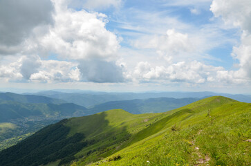Fototapeta na wymiar The view of green slope and forest on mountain ridge in summer day. Carpathian Mountains, Ukraine