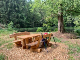 Table and bench in the Palatinate Forest