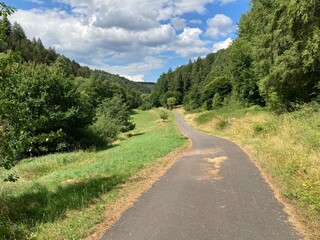 Narrow road in the Palatinate Forest near Bobenthal