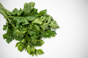 Fresh parsley on a white background.