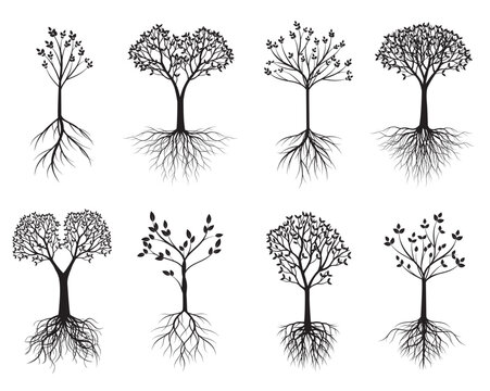 Set black vector Trees