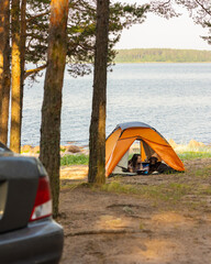 woman and a Labrador retriever dog on a camping trip in nature. a woman reads a book lying in a...