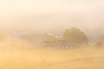 Obraz premium Fog at Socovce village on a summer morning, Slovakia.