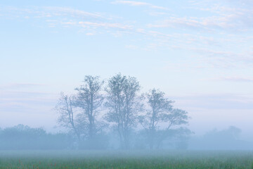 Obraz na płótnie Canvas Misty rural landscape at Abramova village, Slovakia.