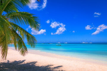 Tropical caribbean beach with sailboats and boat, Punta Cana, Dominican Republic