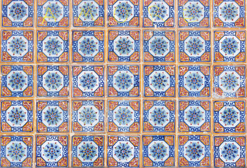 Detailed tiles with winter flower 