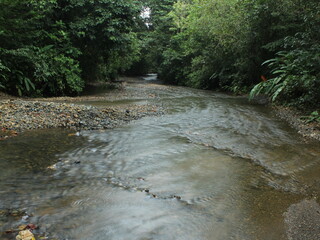 View over Piro River found in the Osa Peninsula of Costa Rica