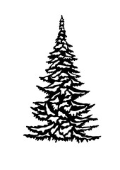 Fir tree, Pine Tree, Christmas tree, Forest Trees Silhouette Bundle, cut file, Tree, forest, nature, Tree shape