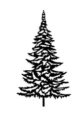 Fir tree, Pine Tree, Christmas tree, Forest Trees Silhouette Bundle, cut file, Tree, forest, nature, Tree shape