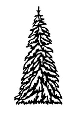 Fir tree, Pine Tree, Christmas tree, Forest Trees Silhouette Bundle, cut file, Tree, forest, nature, Tree shape