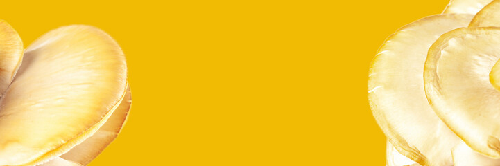 banner for website or recipe, menu with oyster mushrooms and yellow background, concept