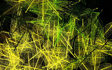 Dark Green, Yellow vector doodle pattern with leaves.